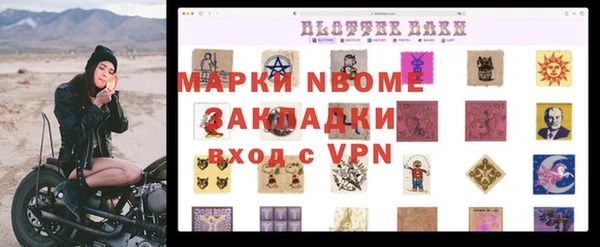 амф Новозыбков