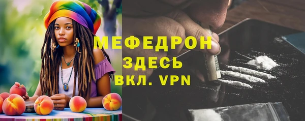 индика Шали