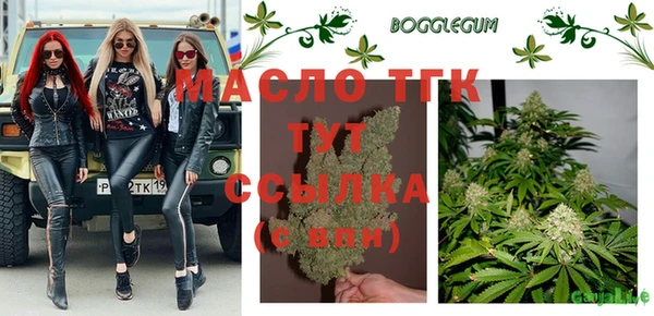 амф Новозыбков