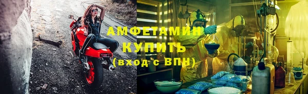 амф Новозыбков