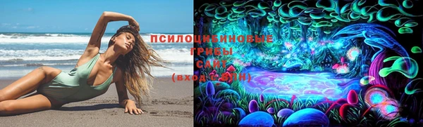 гидропоника Нефтекумск
