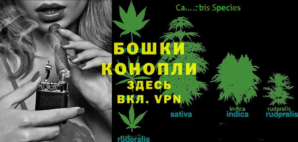 индика Нефтегорск