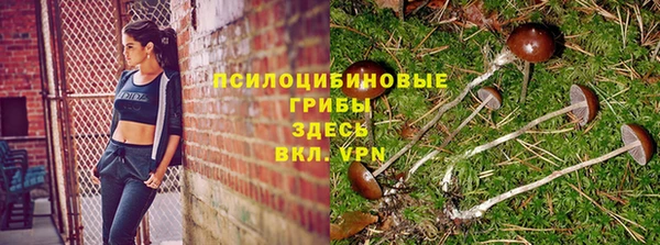 амф Новозыбков