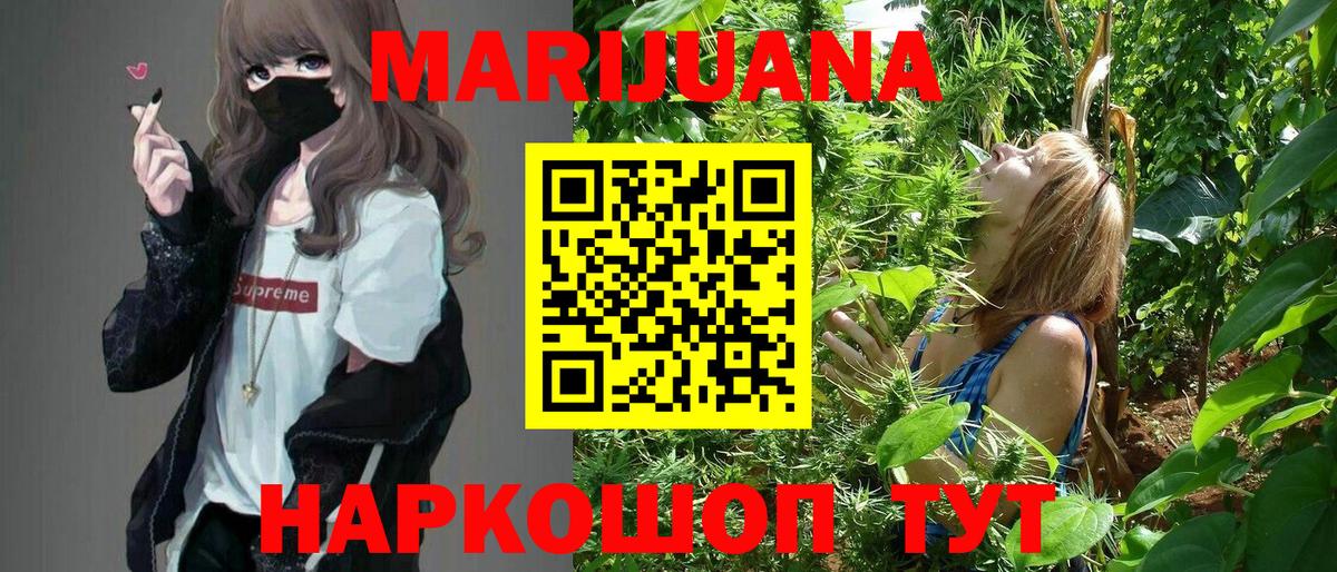 МАРИХУАНА ГИДРОПОН Нефтекумск